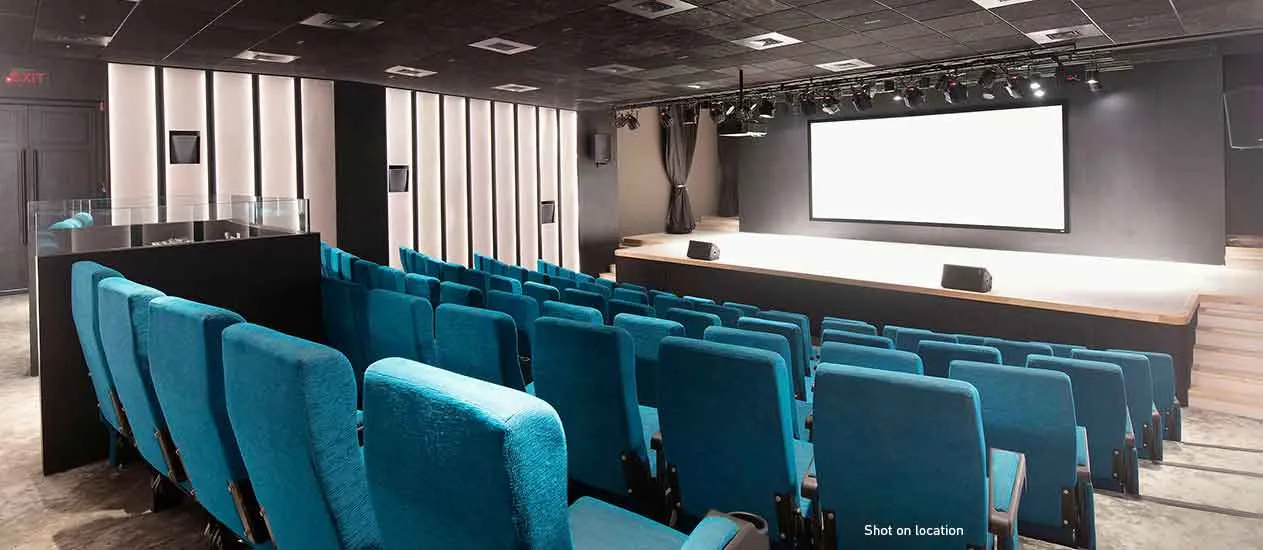 Narang Bangur Nagar Mini Theatre 